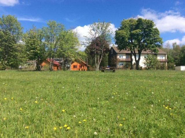 Ferienwohnung Harzblick 4 Braunlage Buitenkant foto